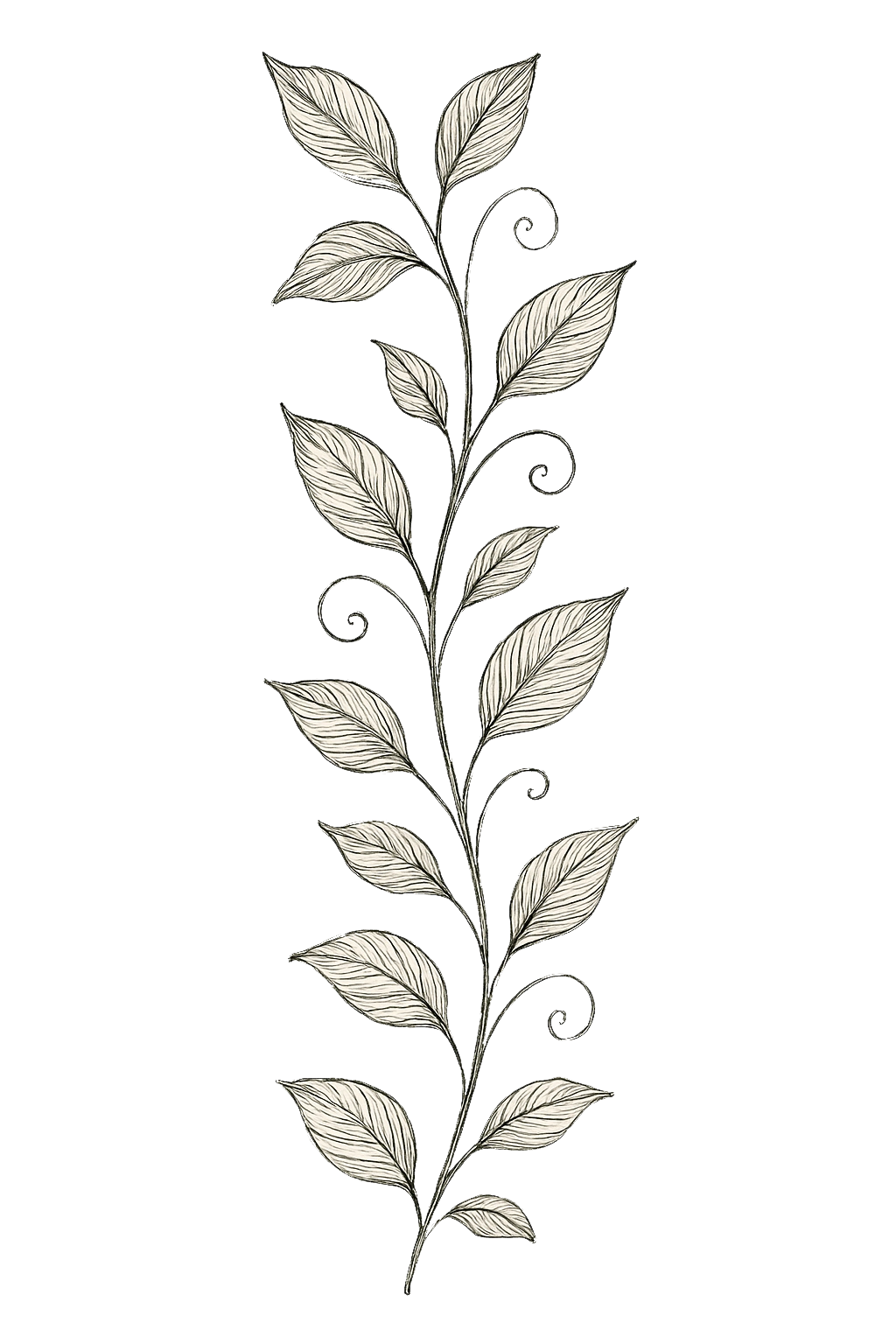 Decorative Vine